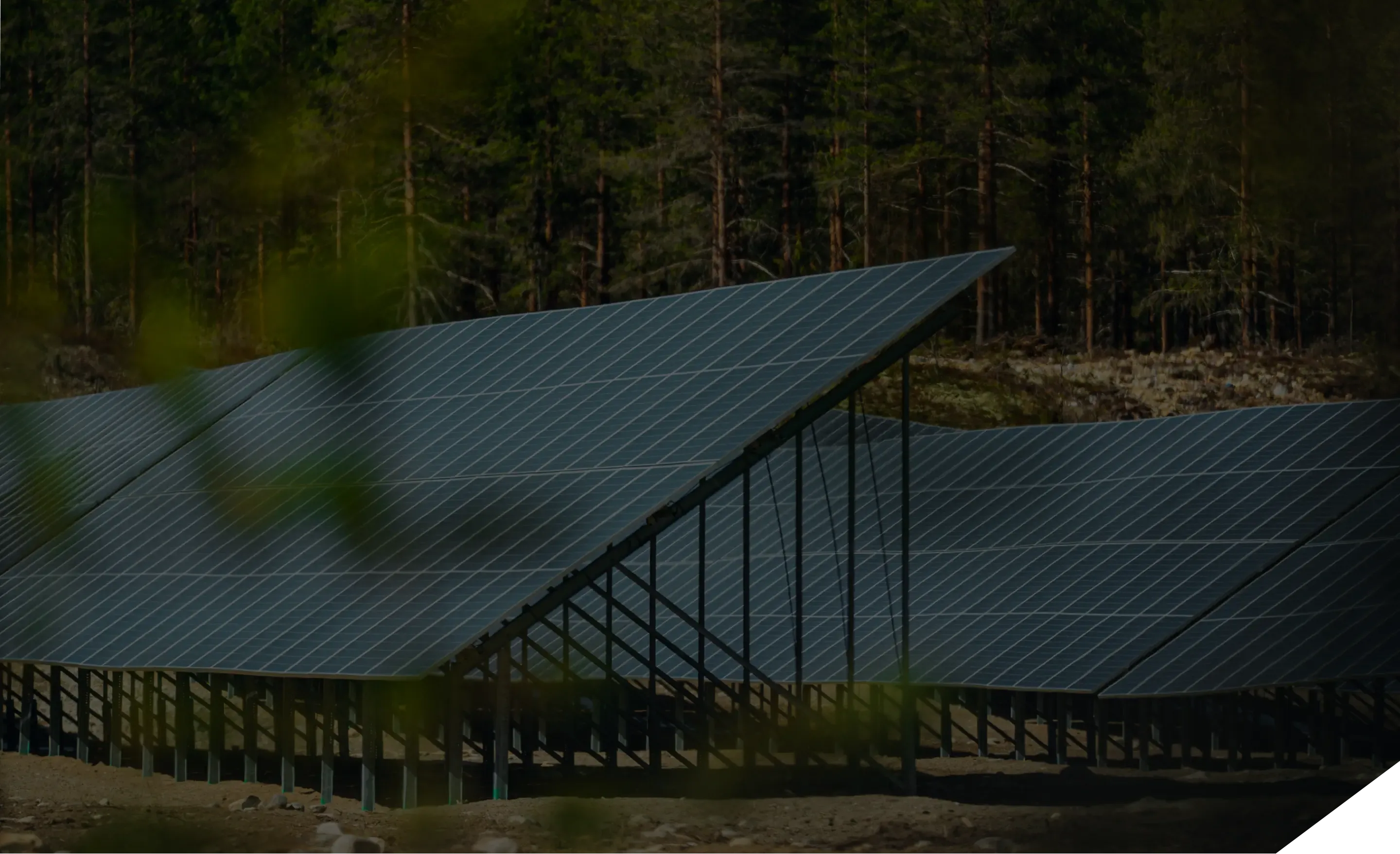 Solar panels in a solar farm