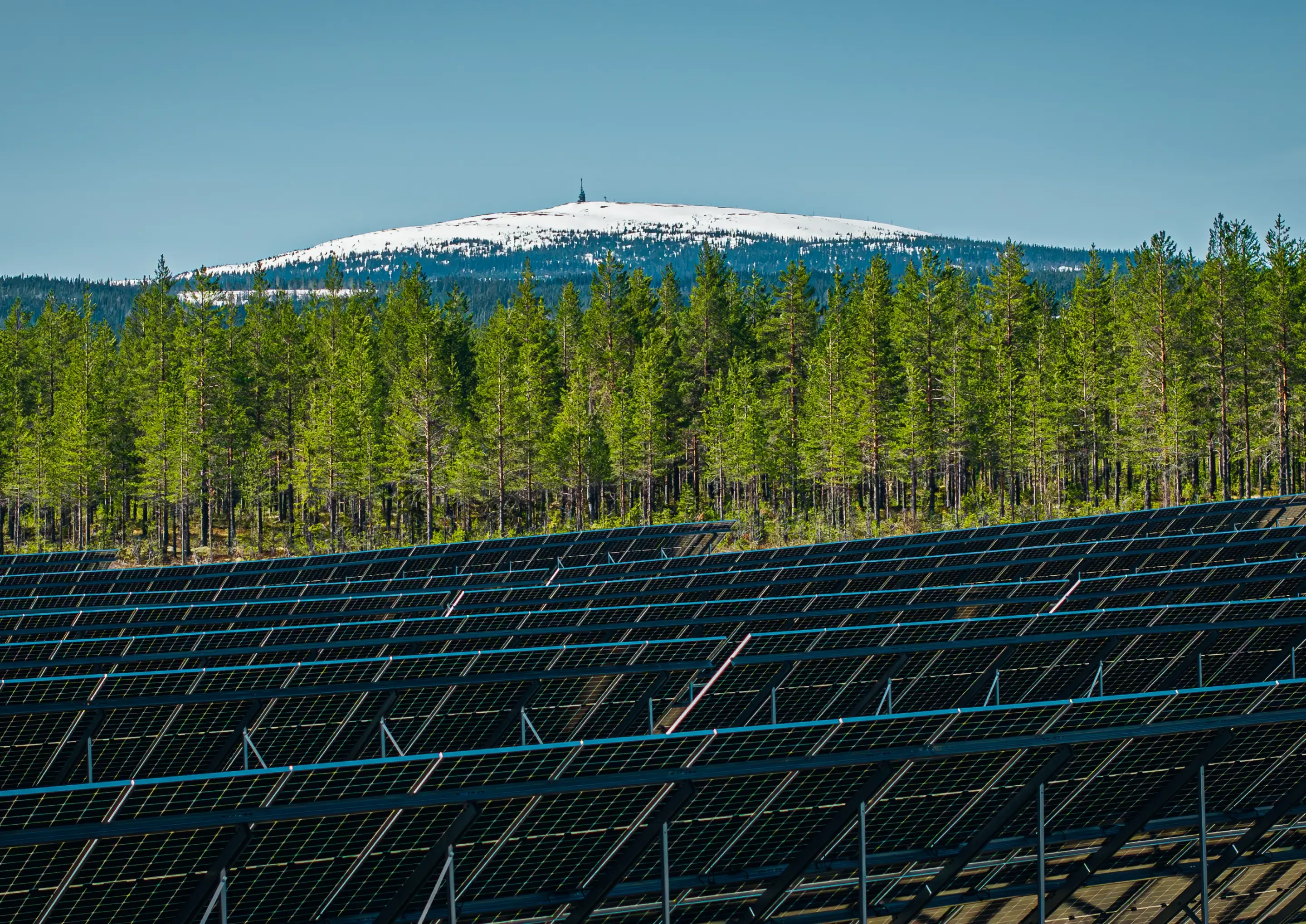 Rows of solar panels with mountains in the background