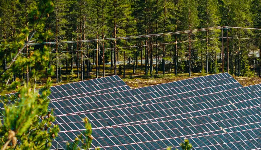 Solar farm on a cleared site ringed by pine forest, seen from above